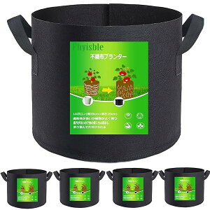 yzsDzv^[ ͔| z Aؔ sDz|bg 10K5 40cm×30cm 13 36bg y ƒ؉  ͔| z z(10K5)