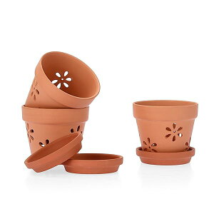 yz6Zbg fĂ Aؔ 픫 ϗtA IV t 󂯎Mt K[fpi 4C` bh 10CM