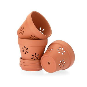 yz3Zbg fĂ5 Aؔ 픫 ϗtA IV t 󂯎Mt K[fpi 6C` bh