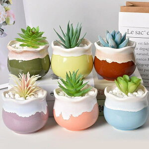 yz6Zbg 6F A 8*8*6.5cm ^ T{e 퐻 ~͔ u t Aؔ ϗtA|bgVzj 蕨