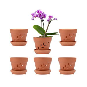 yz6Zbg fĂ Aؔ 픫 ϗtA IV ť`̌t 󂯎Mt K[fpi 4C` bh 10CM