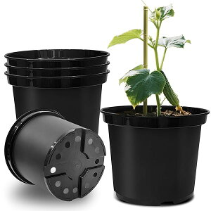 yz^v^[ 30cm 5_Zbg 10 |v^[ vX`bN Aؔ AւȒP 2mm  n[u ԕc x_|p ϗtA [^ o a300×250mm