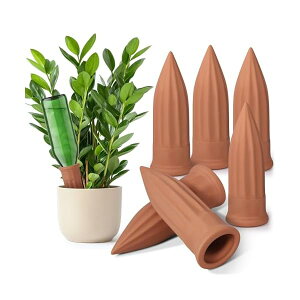 yz A   6{Zbg ϗtA  y yɑ} ێ s o 璆S A ybg{gɑΉ JԂgp K[fj