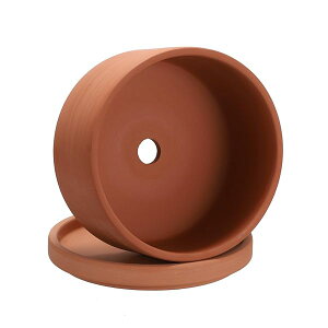 yzA̐Aؔ T{e  fĂ Aؔ 픫 ϗtA IV t 󂯎Mt K[fpi 6C` bh 15.2*9.5CM