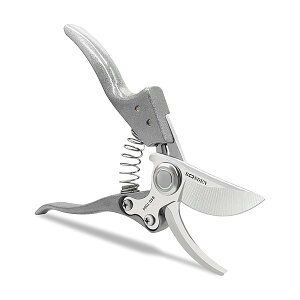 yz΂ |p͂  RpNg }؂͂ K[fjO nT~ _  ~ ƒ؉p