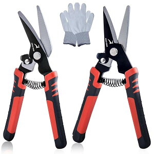 yz2 8C` wr[f[eB[VU[Y Xg[gG{[ \nT~ J[ybg ؂oT~ ؂΂ ؂͂ ނ nT~ vX`bNJb^[ g