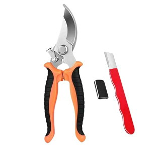 yz\nT~ \͂ J[un 190mm XeX ͖\ oltnh ړIؒfH  nT~ ƒp HƗp Ɨp Hp AEghAp