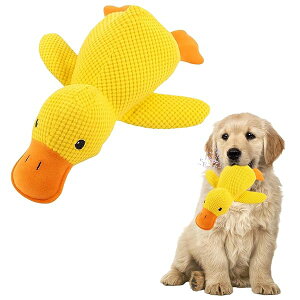 yz  ^  ӂӂAq^p ŏ^^܂Ŋy߂ Aq̖ ޏK̂錢̂߂̑ϋv̂fUC