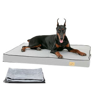 yz^pNbVxbh 􂦂 Vxbh h~ h }bgX ^ ϊ jȂ v /~ I[V[Y ʔN LTCY