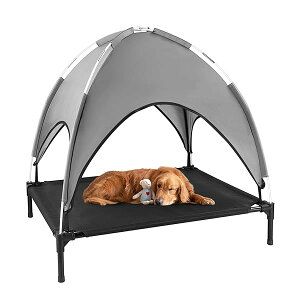 yzhbOxbh rt  Rbg Lp ybgeg I[jOt ybgRbg bV ʋC MǑ΍ ybgxbh p Lv eg AEghA xbh 