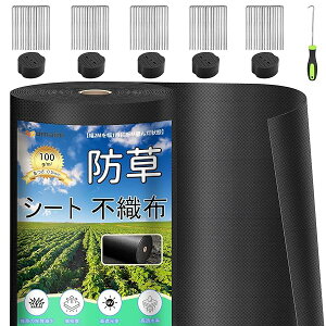 yzhV[g  ϋv 1×50M V[gh sDz V[gCe[v Gh~V[gŒs50{ƍ50t ƒ؉ _ Hp |p lHŉ ubN