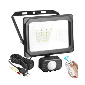 yzLEDZT[Cg /Ogp lZT[ LED 30W F 6500K 2PvO tbhCg 100V R _/ Px IP65hdl  hƃCg K