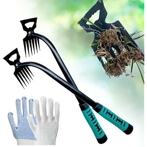 yz蓹 F 6 2{Zbg|pi @N 背[LLbg XeX y Gc[ ̃eiX ̑p