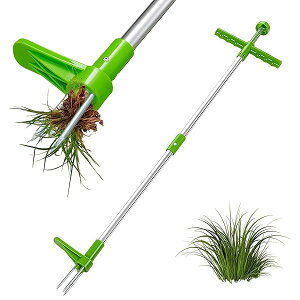 yz蓹 c[ Gc[ G GuV S100cm A~ 3{ PPnh ~ E\ 蓮ŌIɎG y ϋv g₷ 