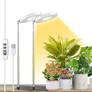 yzA琬Cg LED X^h ͔|Cg 莞@\i3H / 9H / 12Hj10iK̒ ߉\ ȃGl  z͋[ USBd c؍͔| ƒ؉ ͔| |pi (zC