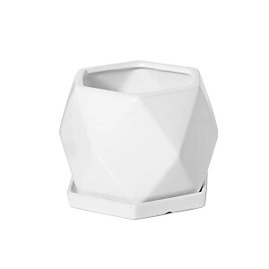 yz픫 Aؔ   ϗtA Mt v^[  ꌊt  v^[ CeA Vv 15cm zCg