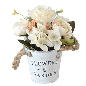 yzlHϗtA  KN O  CeA  ԑ VNt[ u[PSoPcԕrt j Be  p z[ 뉀a v[g ^|