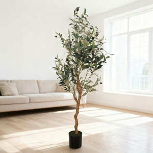 yztFCNO[ϗtA lHϗtA ϗt 150cm  CeA bȂ sṽz[ CeAO[ A   ItBX   茺 