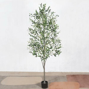 yztFCNO[ϗtA lHϗtA ϗt 120cm  CeA bȂ sṽz[ CeAO[ A   ItBX   茺 