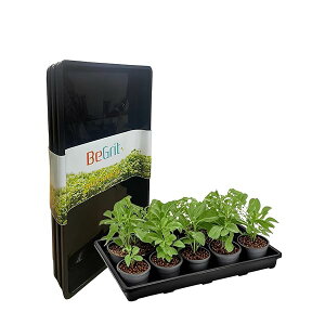 yzcg[ c|bg cg[ 󂯎M 44×30×4.5cm  vgg[ |gC pr vȐ݌v |vsf c|bgΉ K[fjO ƒ؉  Op(3