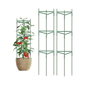 yzAx g}gx 2Zbg Op` K[fjOpx tȒP