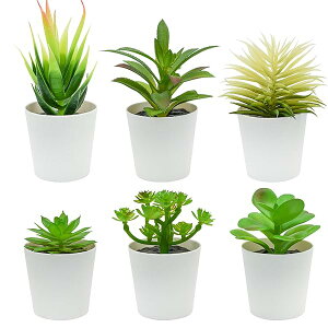 yzA tFCN 6_Zbg lHA A lߍ킹 tFCNO[ ~j t T{e tFCN ϗtA     ^ u CeA v