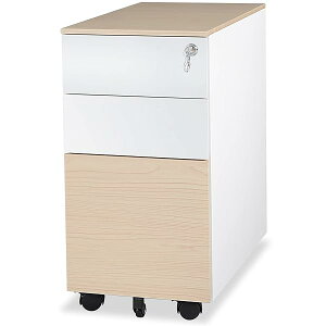 yzi fXNS X`[ ItBXS TChSLrlbg  LX^[t t 3iI[bN e A4ΉFC303002WO