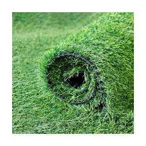 yzlH [ 1mx10m A ŏ30mm ϋv ^Cv hV[g 24{st bVO[ (1×10m)