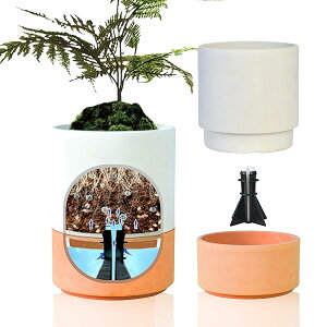 yzGreen Ship Aؔ ꕔv^[ 3 ̃Zbg vX`&Xg[ Ȏ vy  򍪐AΉ (+eRb^)