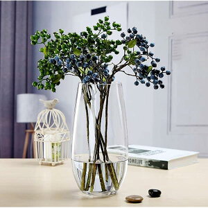 yz KX ԕr t[x[X KX ԕr Ԋ  [sAX^C NA t[x[X Ɏqr k Ԋ   k (NA)