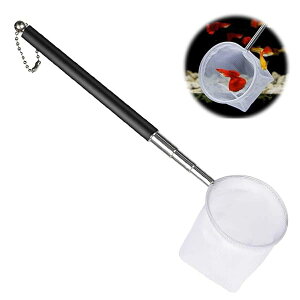 yzكGr lbg tBbVlbg ȋ^N ~WR ^ Grlbg ȋ^N Gr Lk XeX|nhی^bV ی^ Ԗڍׂ