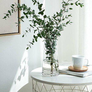 yzKXx[X ԕrKX Ԋ 22cm t[x[X KX{g  k AW CeA ͔|    Vv CeA (hbbl-vase-touming-25cm)