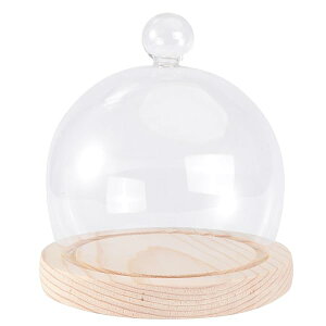 yzKXh[ ؎x[X KXJo[ KXP[X fBXvCP[X RNVP[X iωԕr i  13cm 1Zbg