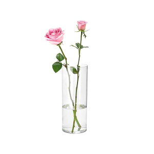 yzԕr Ȃ  t[x[X AN  i 傫 CeA Ԋ ͔|  ԗpArOAQAItBXȂǂ̑ɓKĂ܂ ia12cm 