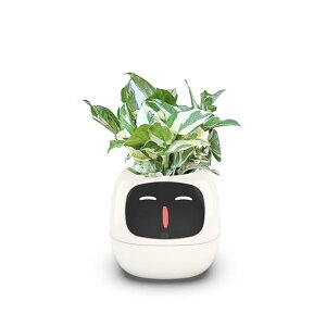 yzIvyX}[gv^[ X}[gPAX}[gybg LED X}[gz[@\ ϗtA ~j Aؔ CeAO[  ^y  