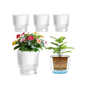 yz16CM v^[ Aؔ vX`bN 4Zbg ϗtA   ʋ Rt O  A n[u ԍ͔|