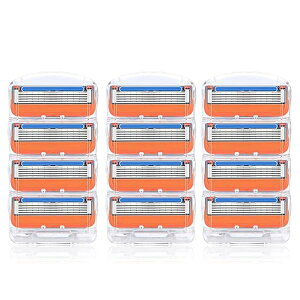 yzWbg ֐n vOCh d ֐n 5n vOCh t[W ݊ (ԞF 12)