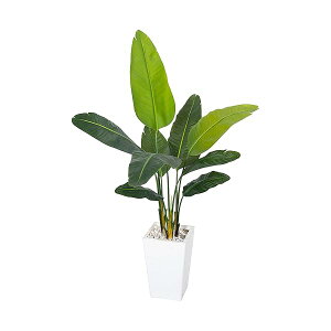 yzo[hIup_CX lHA 5tB[g lHgsJV̖ w̍v^[t 傫ȐlHA A̐lH z[ItBX rO[̑ p