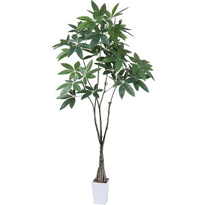 yzlHϗtA tFCNO[ ϗt  pLy165cmzG} C  CeA z[ ItBX fR[V ϗtA  