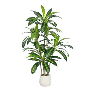 yzylHϗtA120cmztFCNO[ ^C84tťG} ϗtACAؔtϐ΁Cp lHϗt ^CeA Q rO ItBX 