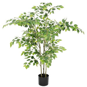 yztFCNO[ xW~ 120cm lHϗtA tFCN   ^ CeA bȂ  Lb` ItBX  j