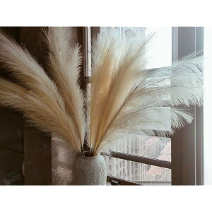 yzy8{ZbgzlHppXOXitFCNj^ 110cm  ӂӂ {w~A k CeA EFfBO rO Q ItBX Mtg   tHg