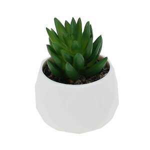 yztFCNO[ CeAO[ A lH bsv  ~j A fR[V  킢  fXN oX[ Lb` Type 1