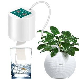 yz dr |v U^C}[Zbg diy hbvUVXe  A A  oPc 1T 2T x_ 10Ή\