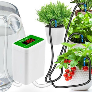 yz  U^C}[ U^C}[^C}[̐ 12Ή\ Aƒp^AUSB ~͒뉀OA {t