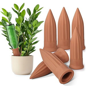 yz A   6{Zbg ϗtA  y yɑ} ێ s o 璆S A ybg{gɑΉ JԂgp K[fj