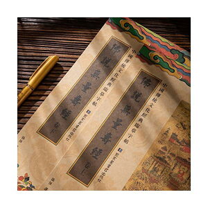 yzʌop Ȃ菑 ʎoʌoƋFʌoMZbg 傫 叉SҌ KƂƂɕMŋFÂ