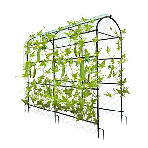 yzI x | A[` ƒ؉  I K[fA[` K[fjO o ͔|x glx lbg イ 2m  ^  KтȂ ό Jx |pi 