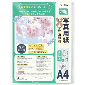 yzA4 ʐ^p   100 CNWFbg ʐ^vgp (PJPA4YB135GP)