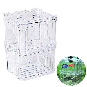 yzuP[X YP[X ɐBu{bNX  ɐBu{{bNX Y z  u كANZT[ ی